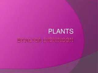 bY: Alysa Dickinson
