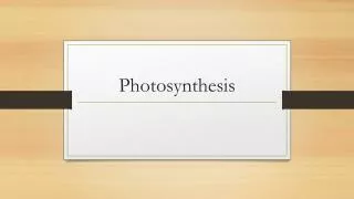 Photosynthesis