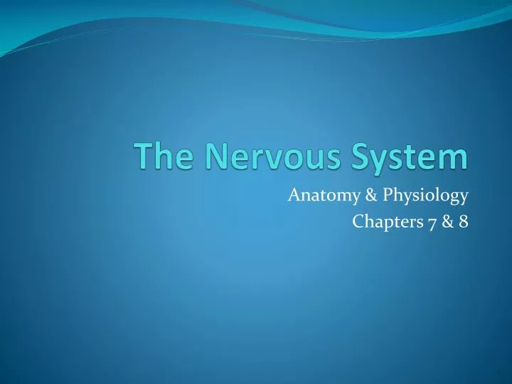 the nervous system