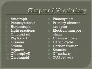 chapter 6 vocabulary