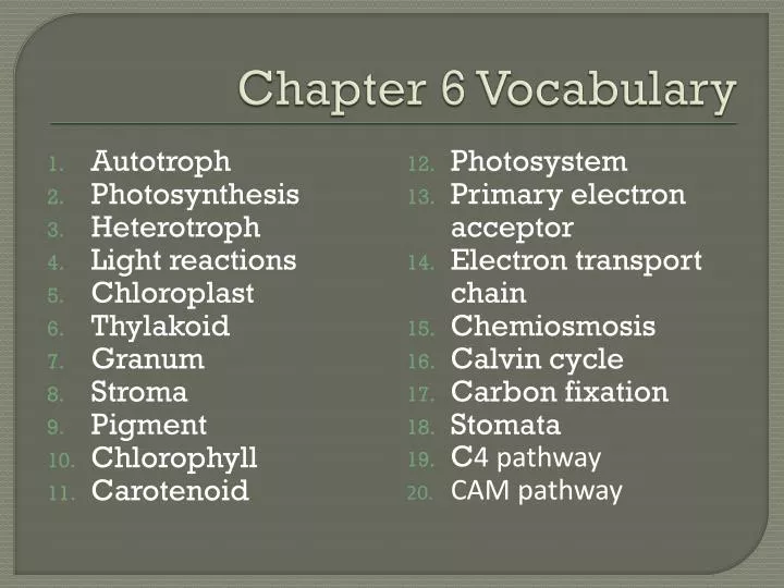 chapter 6 vocabulary