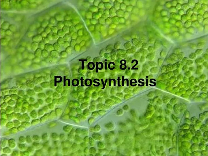 topic 8 2 photosynthesis