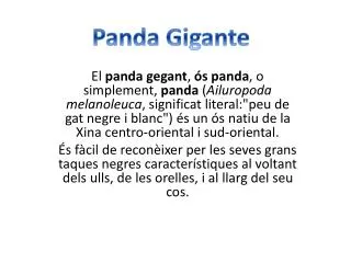 Panda Gigante