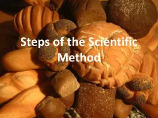 Steps of the Scientific Method