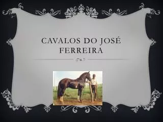 cavalos do jos f erreira