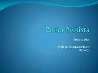 reino protista
