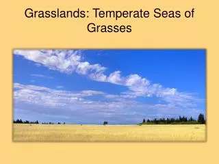 Grasslands: Temperate Seas of Grasses
