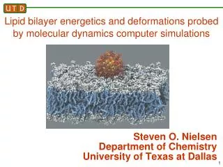 Steven O. Nielsen Department of Chemistry University of Texas at Dallas