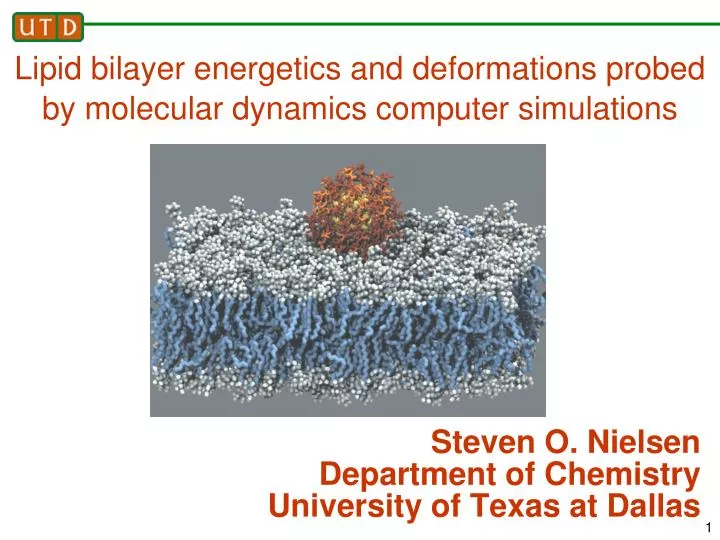 lipid bilayer energetics and deformations probed by molecular dynamics computer simulations