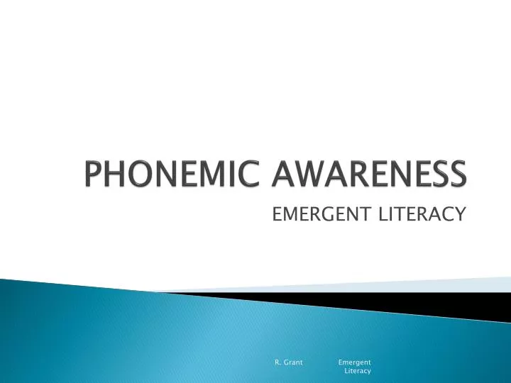 phonemic awareness