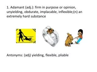 Antonyms: ( adj ) yielding, flexible, pliable