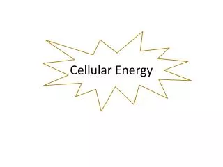 Cellular Energy