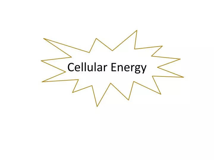 cellular energy