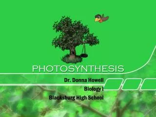 photosynthesis