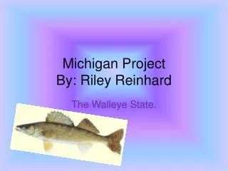 Michigan Project By: Riley Reinhard