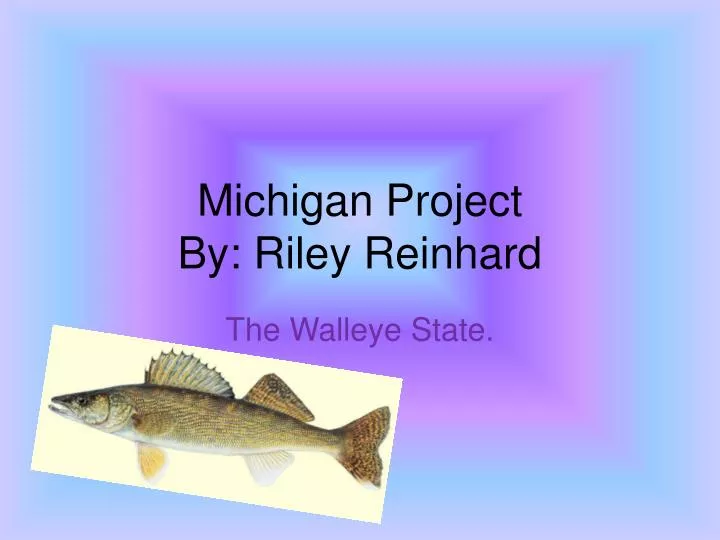michigan project by riley reinhard