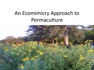 An Ecomimicry Approach to Permaculture