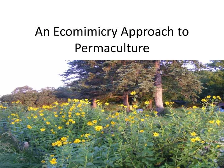 an ecomimicry approach to permaculture