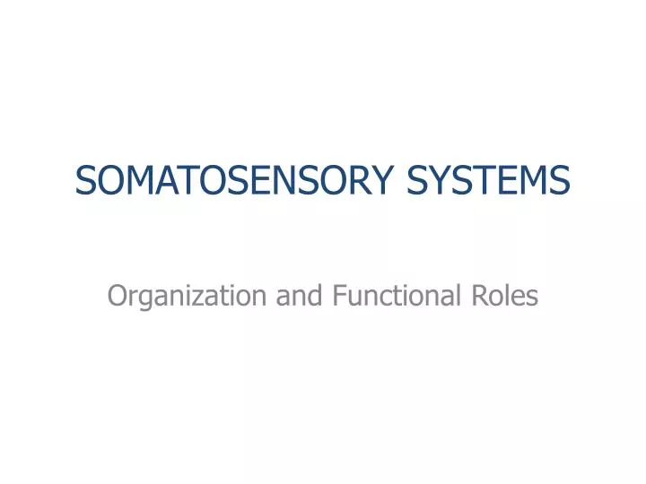 somatosensory systems