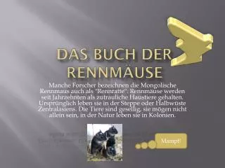 das buch der rennm use