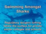 Swimming Amongst Sharks