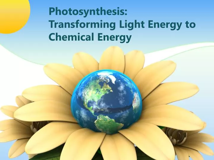 photosynthesis transforming light energy to chemical energy
