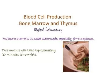 Blood Cell Production: Bone Marrow and Thymus Digital Laboratory