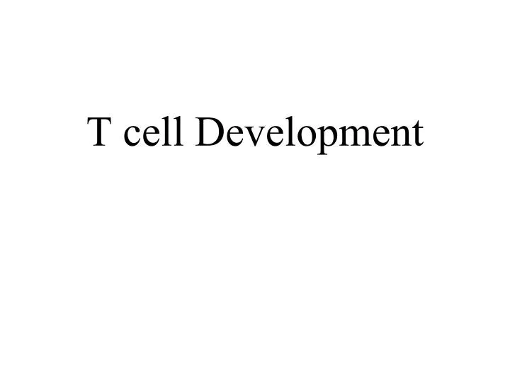 t cell development