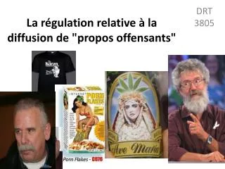 la r gulation relative la diffusion de propos offensants