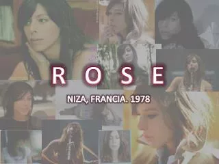r o s e
