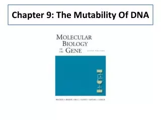 Chapter 9: The Mutability Of DNA