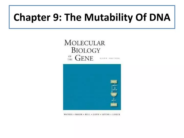 chapter 9 the mutability of dna