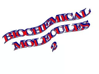 BIOCHEMICAL MOLECULES 2