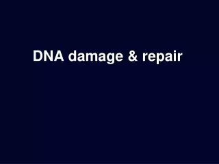 DNA damage &amp; repair