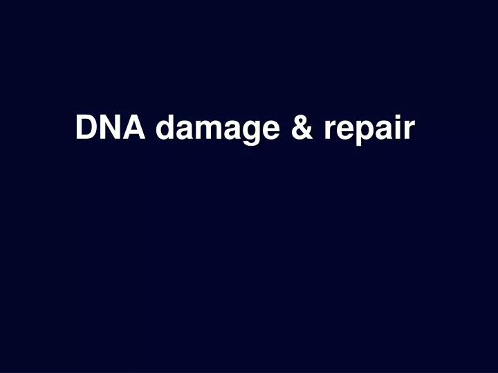 dna damage repair