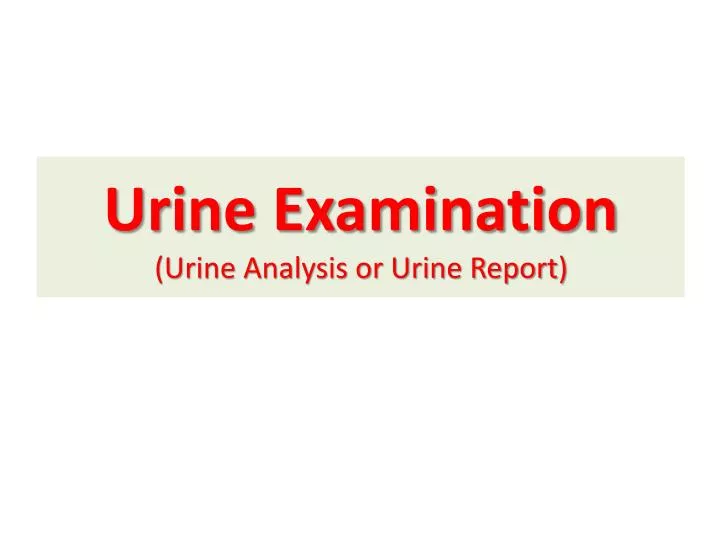 urine examination urine analysis or urine report