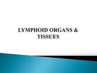 LYMPHOID ORGANS &amp; TISSUES