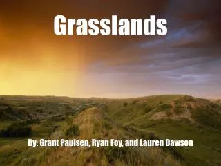 Grasslands By: Grant Paulsen, Ryan Foy, and Lauren Dawson