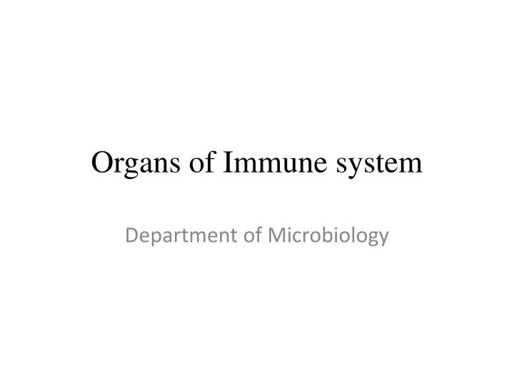 organs of immune system