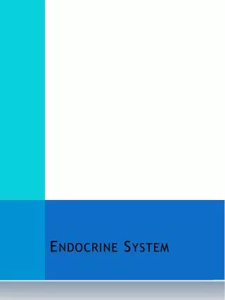 endocrine system