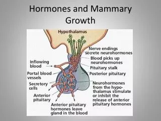 Hormones and Mammary Growth