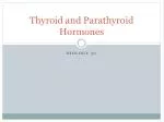 Thyroid and Parathyroid Hormones - slide 1