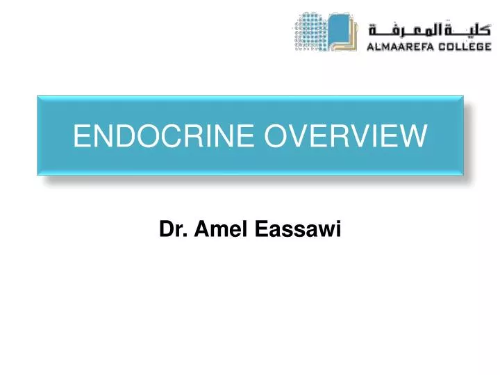 endocrine overview