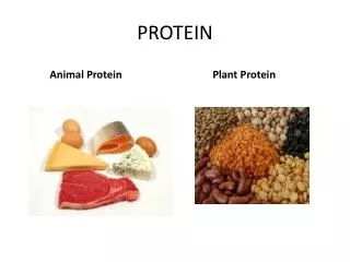 PROTEIN