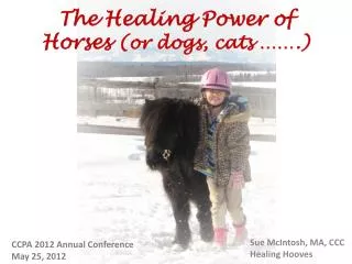 The Healing Power of Horses (or dogs, cats …….)