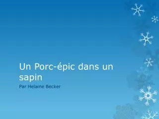 un porc pic dans un sapin