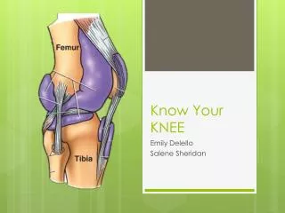 Know Your KNEE