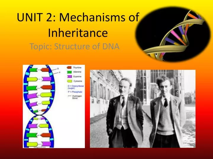 unit 2 mechanisms of inheritance