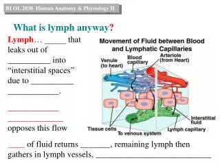 What is lymph anyway ?