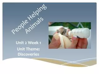 people h elping animals